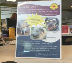 Top right is a picture of Pauline's dog, Storm. On a poster advertising her reading with children program. 